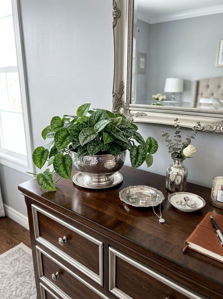 Satin Pothos Bedroom - 30 bedroom low light plants