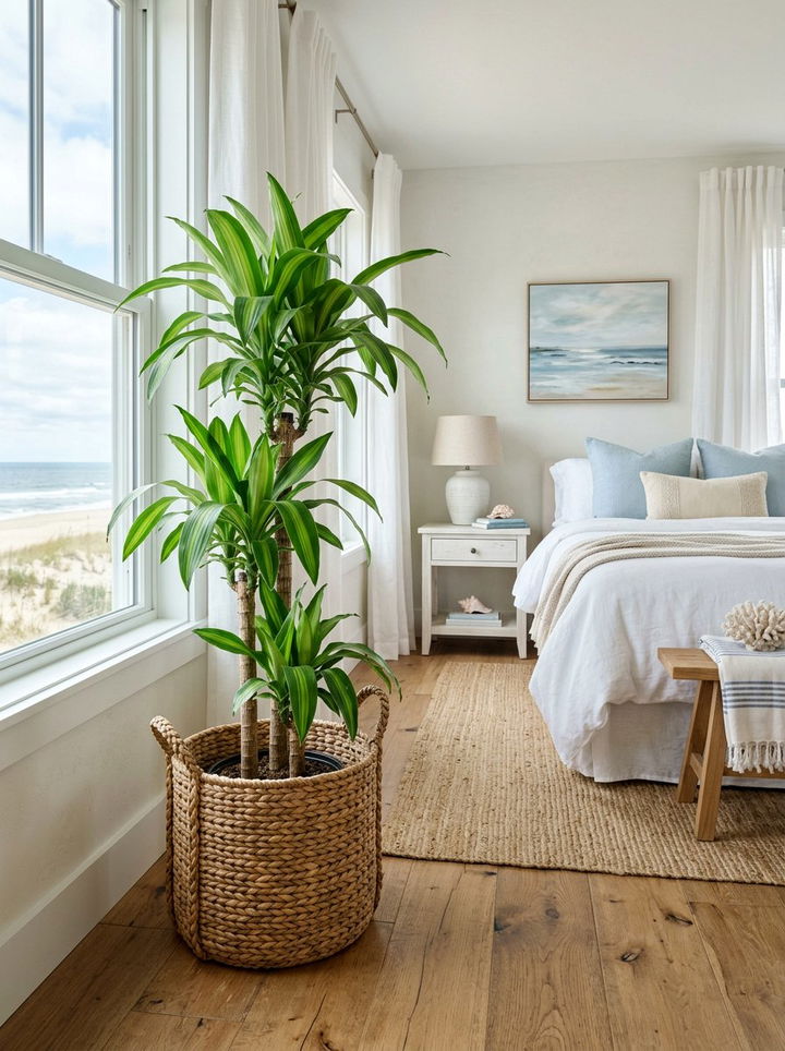 Seagrass Plant Basket - 30 bedroom planters