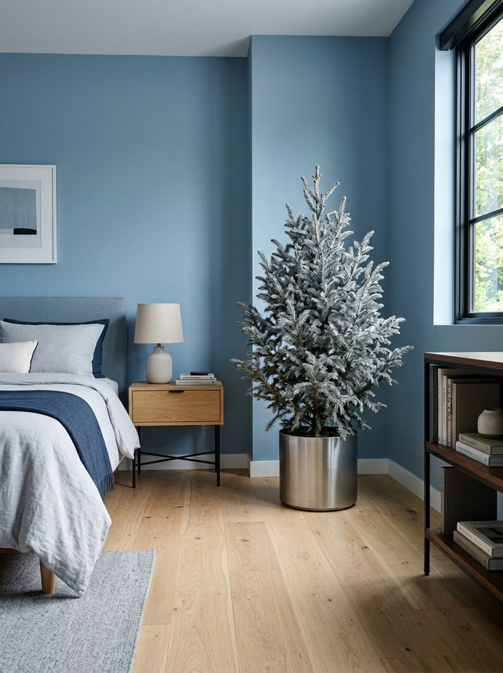 Silver Evergreen Bedroom - 30 bedroom low light plants