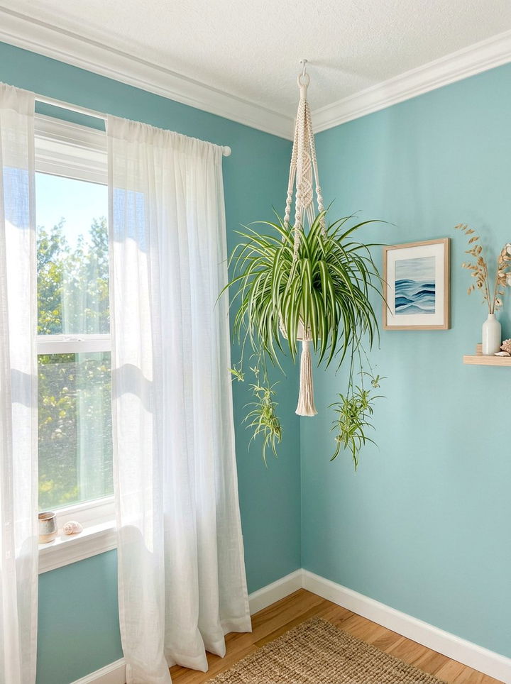 Spider Plant Bedroom - 30 bedroom low light plants