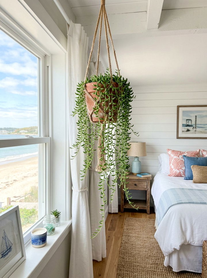 String Of Bananas - 30 bedroom hanging plants