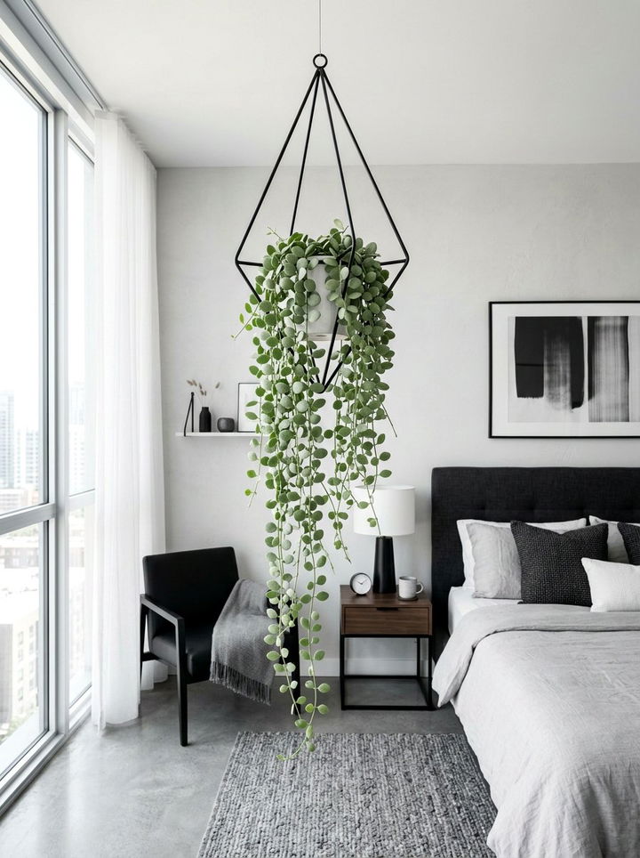 String Of Nickels - 30 bedroom hanging plants