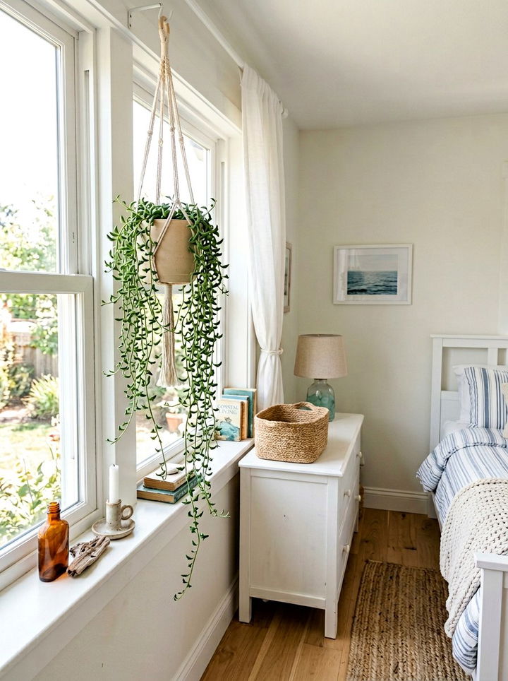 String of dolphins unique plant - 30 bedroom succulents